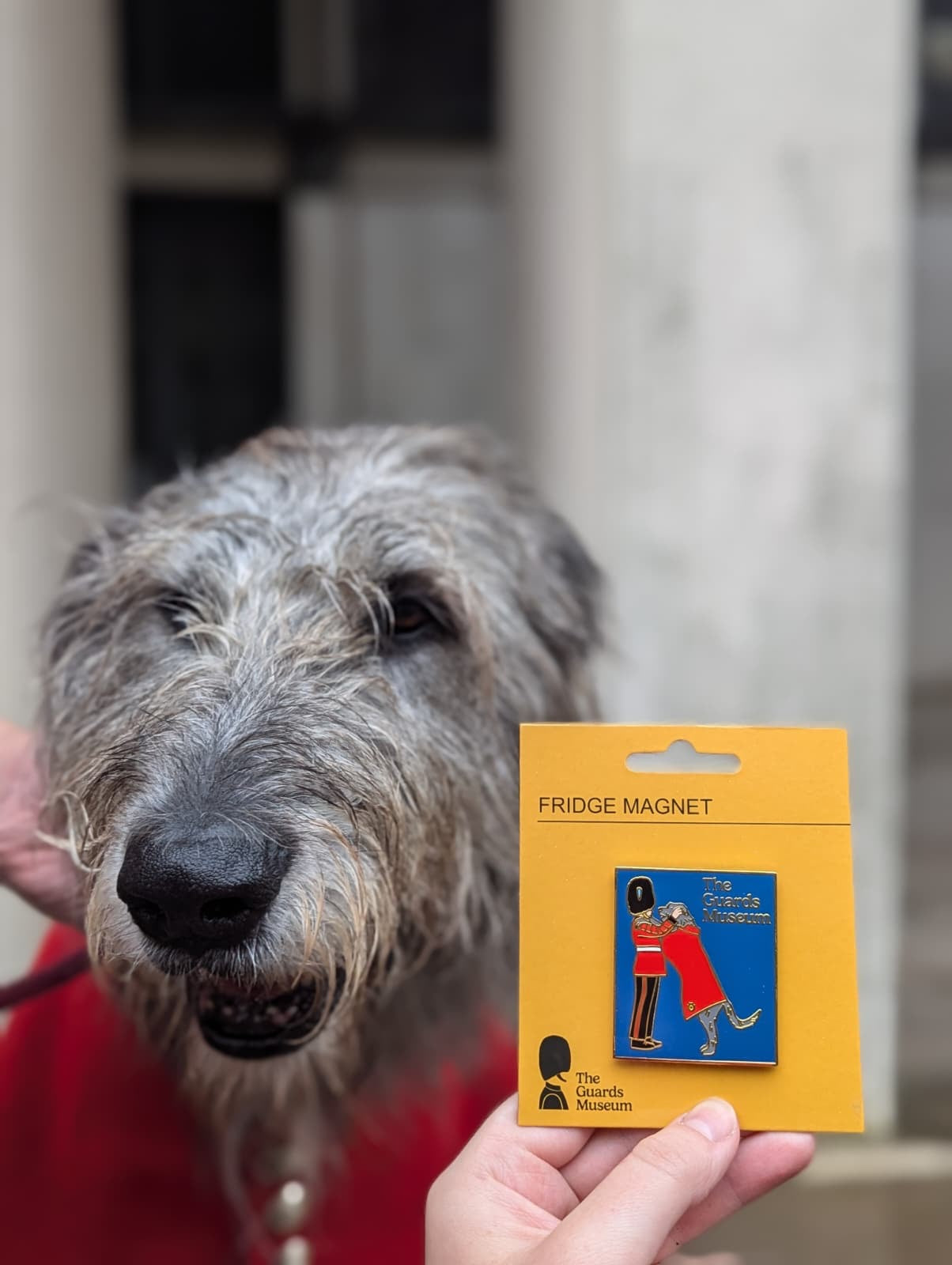 Irish Wolfhound Fridge Magnet