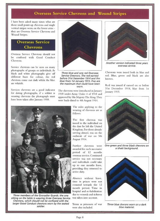 The Bearskin Newsletter - Digital Download