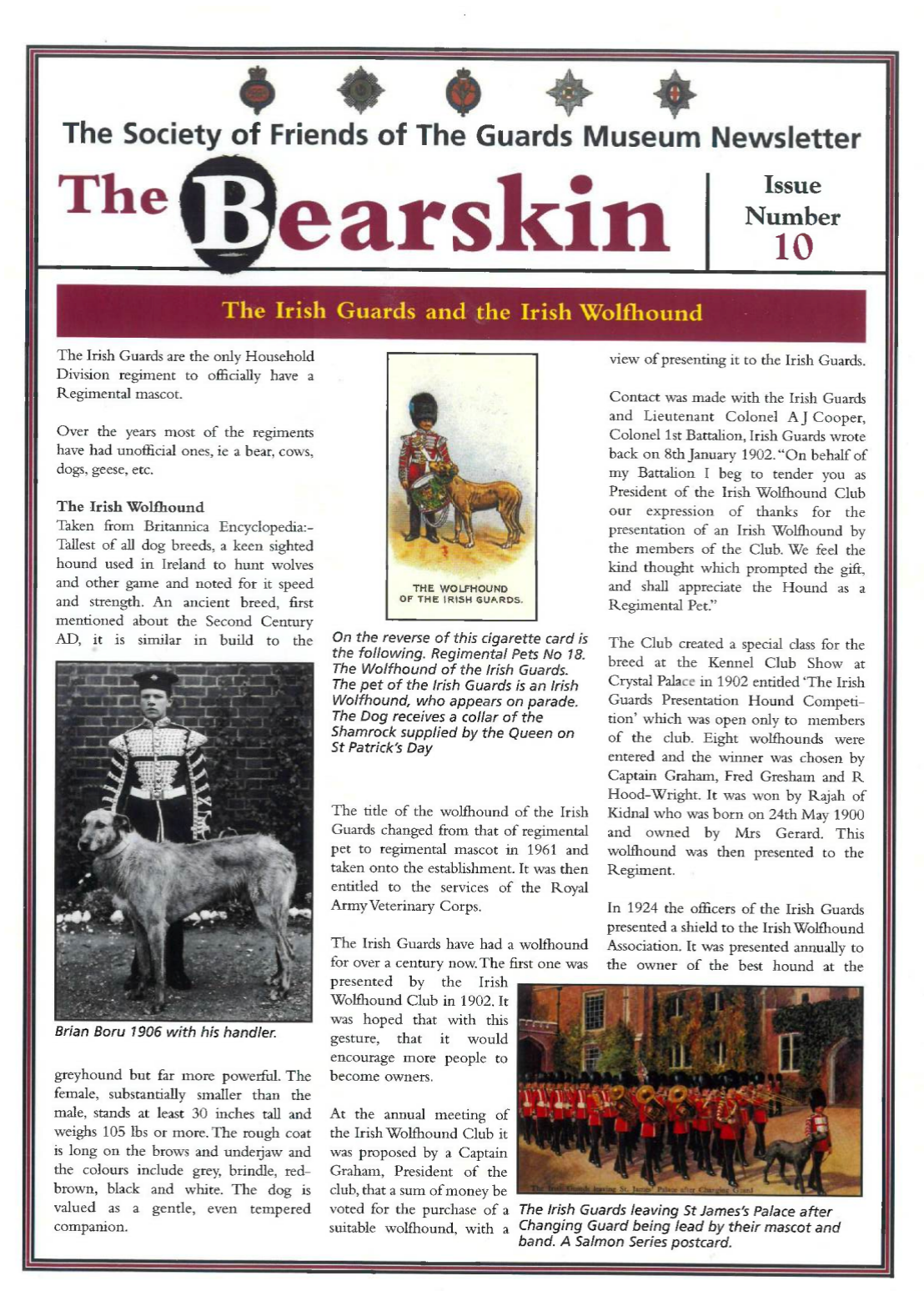 Der Bärenhaut-Newsletter - Digitaler Download